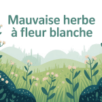 illustration mauvaises herbes à fleurs blanches jardin
