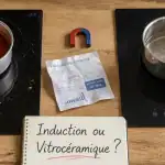 difference entre induction et vitrocéramique plaque comparée