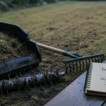 Démousseur ou scarificateur : feutre et mousse à retirer sur pelouse