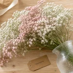Gypsophile fleur blanche et rose en bouquet léger