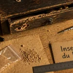 Mites bois meuble : zones de vermoulure, identification insectes xylophages